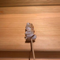 鮨 りんだ - イカゲソ アオリとヤリイカのミックス