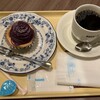 DOUTOR - 