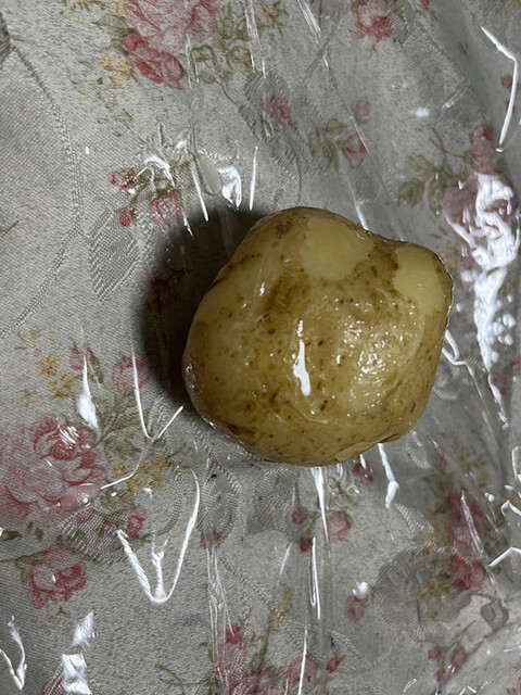 豊田商店 - 小樽（その他）の写真