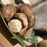 SUGALABO - 今回のロットは、虫喰いとても少なく当たりだそうです。コレばっかりは、開けてみないと