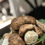 SUGALABO - フランス産セップ茸