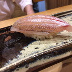 鮨 美幸 - 春子鯛