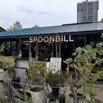 SPOONBILL - 