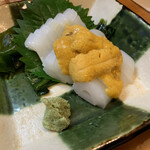 和食 島崎 - イカ刺しウニのせ