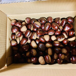 哲生栗生産組合 直売所 - 箱の中の栗