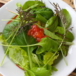 サラダ（南アルプス市産）