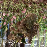 ザ パレス ラウンジ - 