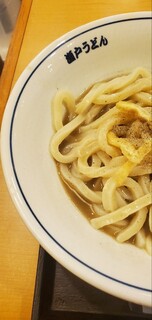 瀬戸うどん - 煮干しうどん