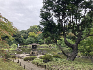 平塚亭つるをか - 薔薇はなくとも池がある