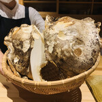 温石 - お化け茸：オオモミタケ