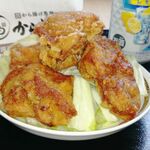 ガスト - 料理写真:から好し ももから揚げ