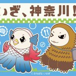 Yokohama Chuukagai Pekin Hanten - 「いざ、神奈川」旅行支援クーポンご利用いただけま