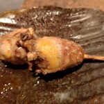 トリバッカ - 丸ハツ