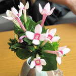 ロビーラウンジ すみれ - 今日のテーブルのお花は・・・