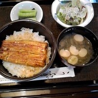 割烹 蒲焼 大沼 - うな丼