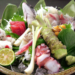 色彩和房 ワサビ_0