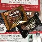 CACAOCAT - 焼菓子・ブラウニー
