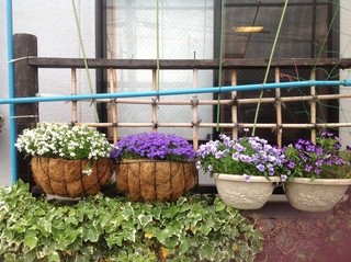 Kasuga - 店のまわりは花園