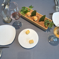 プレヴナンス - 