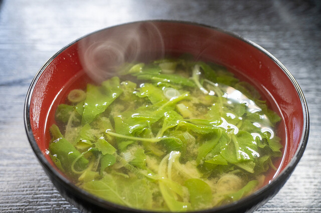 手作り餃子ミナ - 会津若松（餃子）の写真