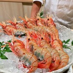 海老亭別館 - トヤマエビ。