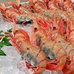 海老亭別館 - トヤマエビ。