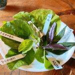 農家レストラン つみ菜カフェ うどんげ - 料理に使われているお野菜の見本