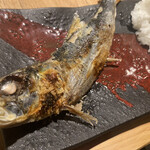 炭劇場 徳永座 - 大とろいわし