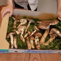 柚木元 - 2時間前に採った松茸