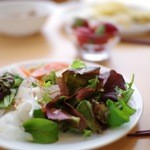 空の駅 風和里しばやま レストランフワリ - ベビーリーフを中心にしたサラダ