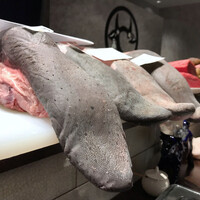 焼肉やまちゃん - 本日のタン