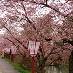 San Chuu - 弘前城公園外堀桜徒歩1分