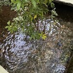 貴船喜らく - あ～心が洗われる