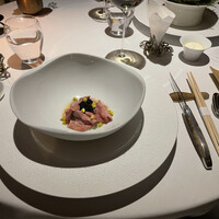 レフェルヴェソンス - 