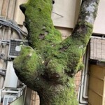 貴船喜らく - おお～