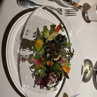 レフェルヴェソンス - 