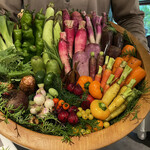 レフェルヴェソンス - 