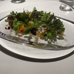 レフェルヴェソンス - 