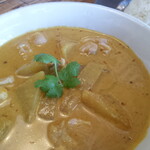 Yellow curry with rice