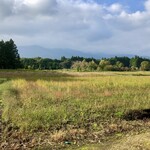 高林坊 - 窓の外は一面蕎麦畑