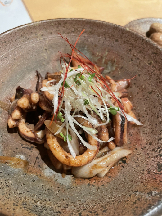 さとや Комплект зажигания Rotax 503/552f взамен Ducati для снегоходов BRP