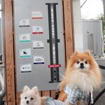 カフェ・ド・リオン パレット - 【2022.10】