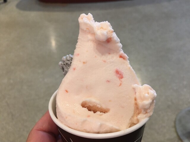 さくらんぼ会館 - 羽前高松（ジェラート・アイスクリーム）の写真