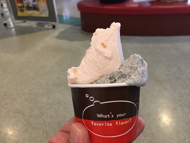 さくらんぼ会館 - 羽前高松（ジェラート・アイスクリーム）の写真