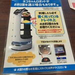 バーミヤン - ネコちゃんロボットというらしい