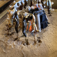 柳家 - お店に到着するとウェルカム鮎がスタンバイ済み