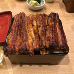 Unagi Kazutomo - 