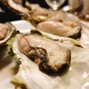 Oyster Bar Splendor - 