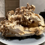 イル アオヤマ - 