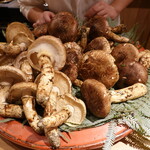 富小路 やま岸 - 高野山昼採れ松茸